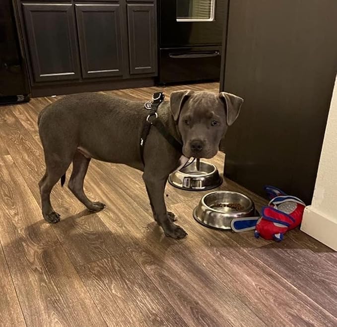 PUPTECK No Pull Dog Harness Soft Adjustable Basic Nylon Step in Puppy Vest Outdoor Walking with ID Tag Medium