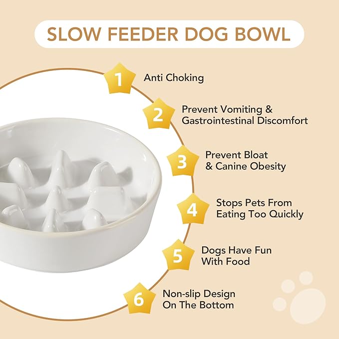 Ceramic 1.2 Cup Dog Raised Slow Feeder Set, Elevated Bowl with Wooden Stand for Medium and Small Dog, 7.3inch Slow Feeder Dish for Fast Easters(Single Bowl+ Stand, Reactived Glaze -White)
