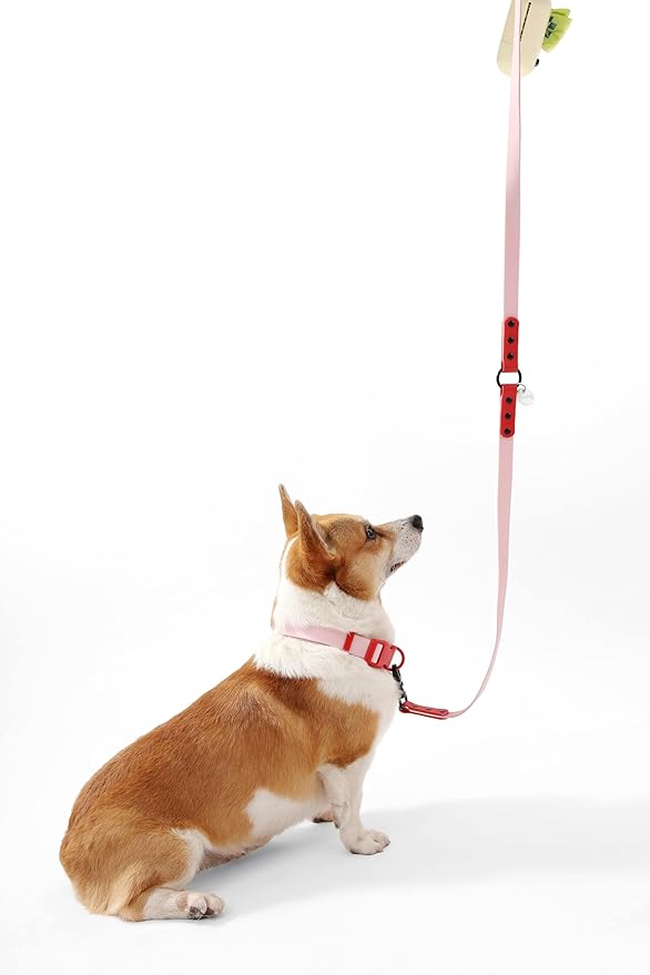 WLK1005G-5SET Luna Medium 8FT Adjustable 6-in-1 Waterproof Hands-Free Leash and Collar with LED Flashlight, Bag Dispenser, and Poop Bag Holder, Paloma