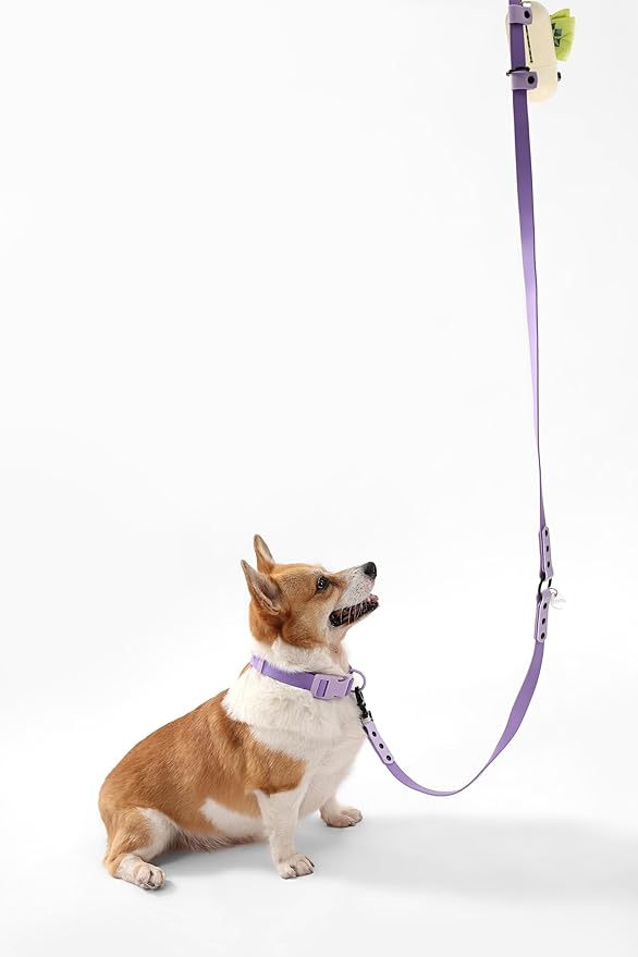 WLK1005H-5SET Luna Medium 8FT Adjustable 6-in-1 Waterproof Hands-Free Leash and Collar with LED Flashlight, Bag Dispenser, and Poop Bag Holder, Bramble