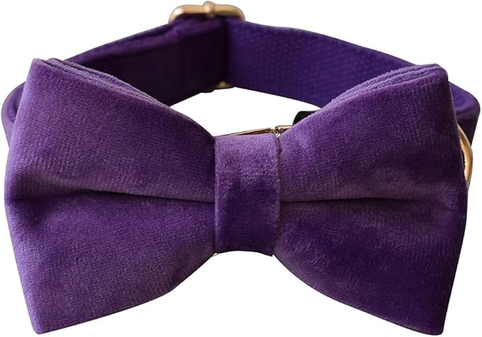 Dog Collar Custom Personalized Engraved Name and Phone Number for Puppy Small Medium Large Pets (L, Purple)