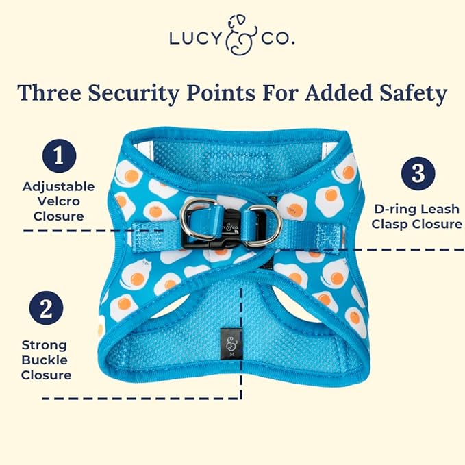 Lucy & Co. Eggcelent Step-in Cat Harness & Leash Bundle – Reflective, Breathable & Adjustable Harness for Cats, Kittens & Small Dogs, Lightweight & Secure and Dual Leash Clips – Medium