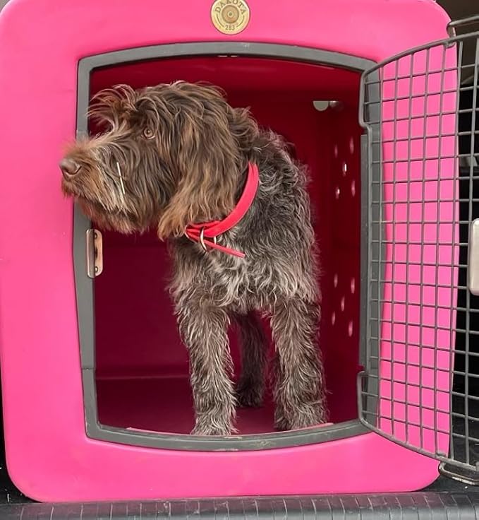 dakota283 G3 Framed Door Kennel - Large - Pink