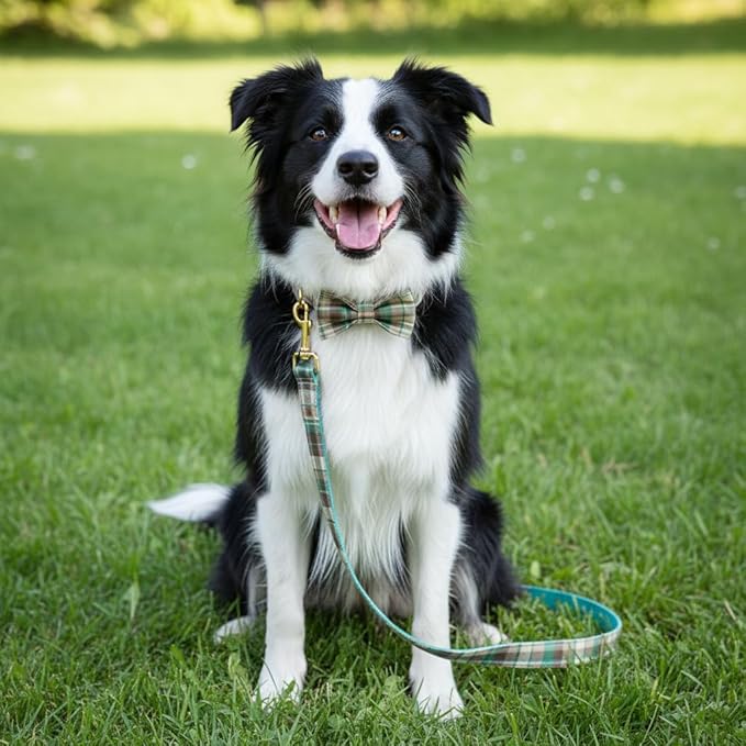 PETDURO Personalized Dog Collar Teal Brown Plaid for Large Medium Dogs | Engraved Name and Phone Number on Gold Metal Buckle for Boys & Girls | Add Leash & Bow Tie via Customize Now