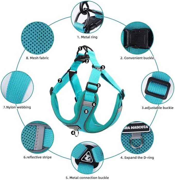 Dog Harness and Leash Set, Adjustable Triangle, Reflective Adjustable Puppy Vest, No Pull Soft Mesh Harness for Small, Medium Dogs, Cats (Turquoise, XL)