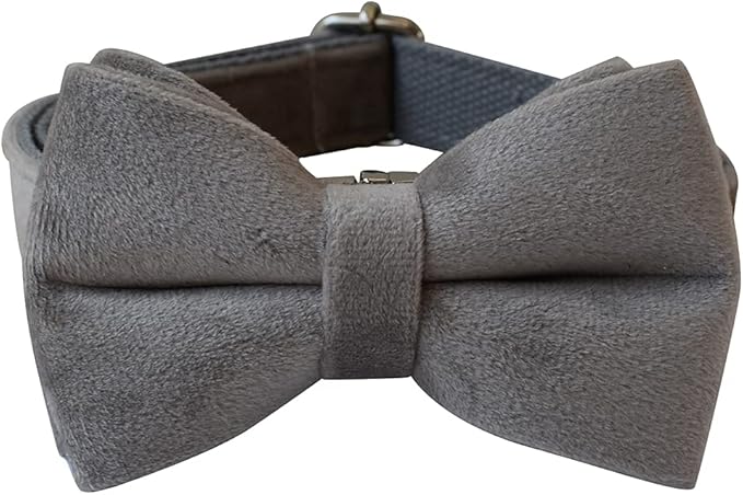 Dog Collar Custom Personalized Engraved Name and Phone Number for Puppy Small Medium Large Pets (L, Grey)