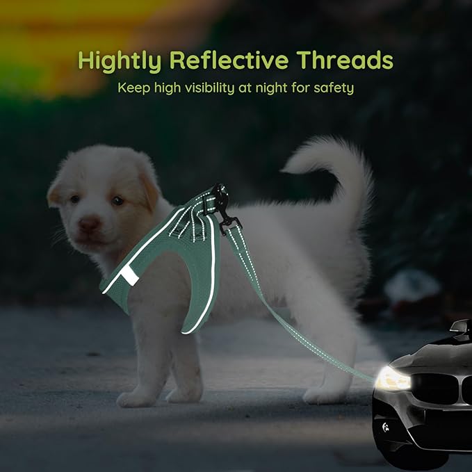 BELLA & PAL Step in Vest Harness for Small and Medium Dogs, No Pull Small Dog Harness with Leash Set, Comfortable Air Mesh Dog Vest Harness with Reflective Strip (Light Green, XXS)