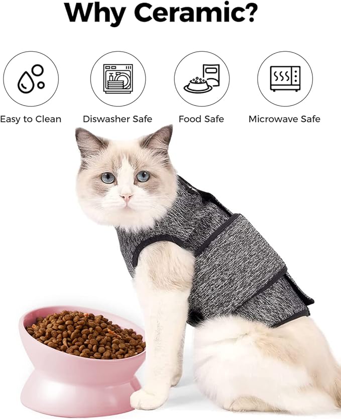 LoeJan Elevated Cat Food Bowl, 5 Oz Ceramic Raised and Tilted Water Bowl, Anti Vomiting and Protect Pets' Spines Dishes for Small Dog, Fat Faced Cat, Kitten (Pink, 1 Pack)