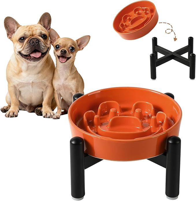 Elevated Slow Feeder Dog Bowl - Ceramic Maze Dog Food Bowl with Stainless Stand - Raised Slow Feeder for Small Breeds to Control Eating Speed - 6.3 Inch - 0.8 Cups (80g) - Orange