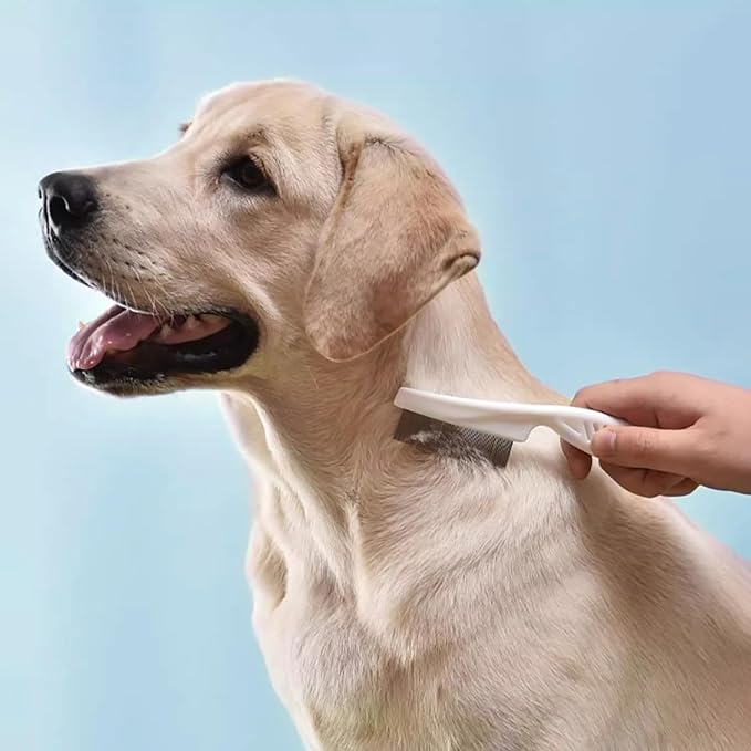 4 in 1 Skin Friendly Grooming kit including Dematting Rakes,Self Cleaning Slicker Brush,Deshedding Brush,Flea Comb for Haired cat Dog and Small Animals.