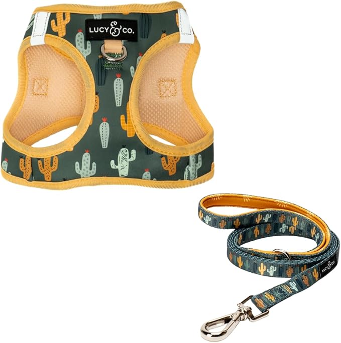 Lucy & Co. Looking Sharp Step-in Cat Harness & Leash Bundle – Reflective, Breathable & Adjustable Harness for Cats, Kittens & Small Dogs, Lightweight & Secure and Dual Leash Clips – Large