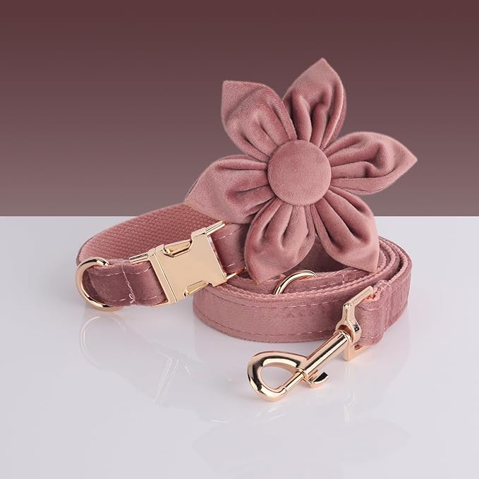 Velvet Personalized Dog Collar with Name - Customizable Dog Collar with Quick Release Metal Buckle - Leash and Bow Tie Available (Dusty Rose, XS)