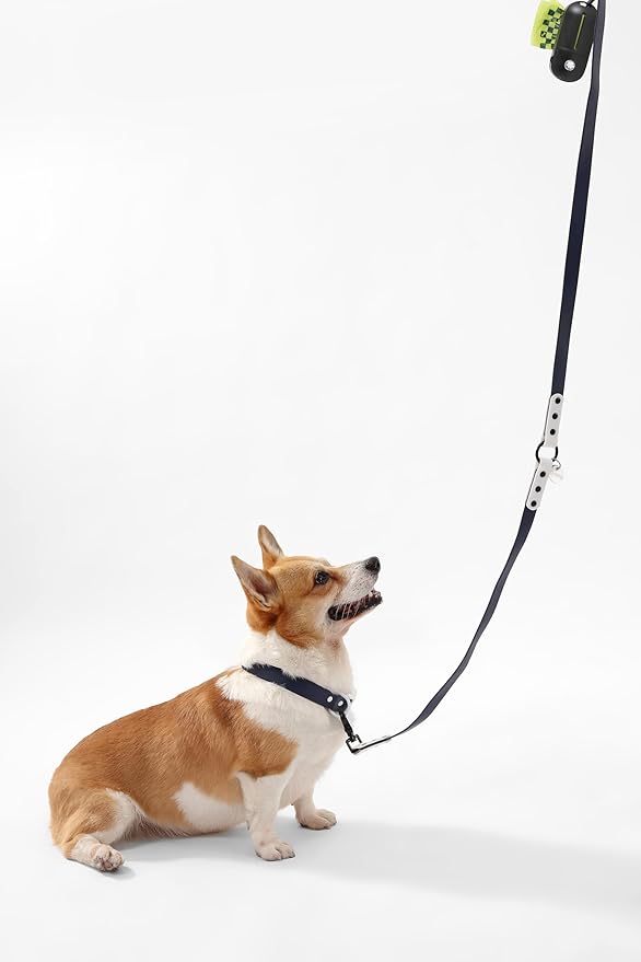 WLK1005J-5SET Luna Medium 8FT Adjustable 6-in-1 Waterproof Hands-Free Leash and Collar with LED Flashlight, Bag Dispenser, and Poop Bag Holder, Highball