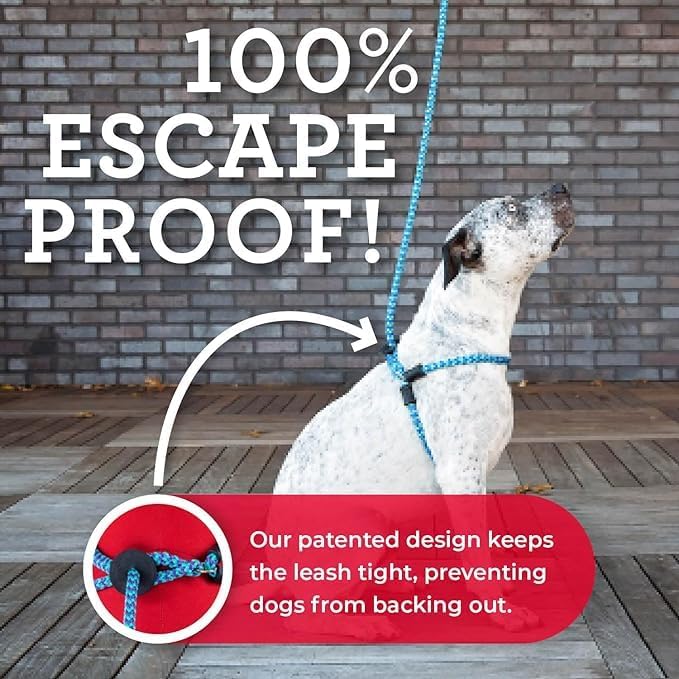 Harness Lead No Pull Dog Harness and Leash Set, Anti Pull Dog Harness, One-Piece Cushioned Rope Safely Prevents Escaping and Pulling *New Insert is Removable (Extra Large, Black Reflective)