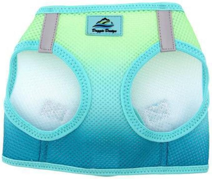 Doggie Design No Choke Dog Harness - Simple Step-in and Go Dog Vest for Small, Medium, and Large Breeds - Breathable Mesh Polyester Pet Harness - Aruba Blue - S