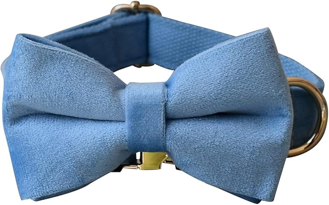 Dog Collar Custom Personalized Engraved Name and Phone Number for Puppy Small Medium Large Pets (S, Sky Blue)