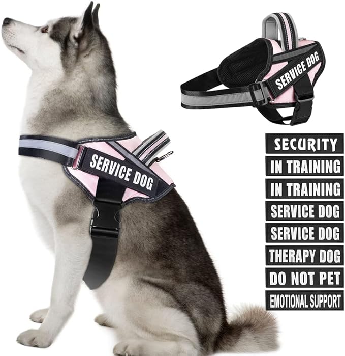 Dog Vest Harness and Patches Set, Animire in Training Service Dog Harness with 10 Dog Patches, Reflective Dog Vest with Handle for Small, Medium, Large, and Extra-Large Dogs