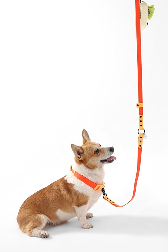 WLK1005A-5SET Luna Medium 8FT Adjustable 6-in-1 Waterproof Hands-Free Leash and Collar with LED Flashlight, Bag Dispenser, and Poop Bag Holder, Aperol