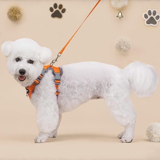 Small Dog Harness and Leash Set, No Pull Adjustable Pet Harness for Small Dogs, Breathable Mesh Rflective Dog Vest Harness (Orange, S)