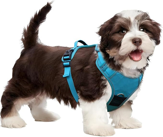 No Pull Harness with Tracker Tag Holder for Small Dogs,Adjustable Escape-Proof, No Choke and Reflective Vest with Handle for Easy Control Comfortable Vest Harness for Training Walking Hiking, Blue S