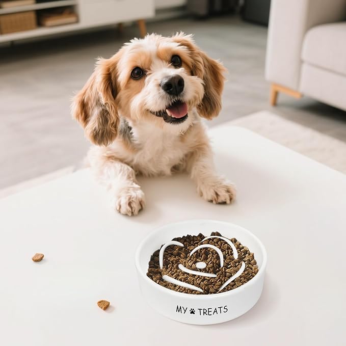 Slow Feeder Dog Bowls - Ceramic Dog Bowls for Small & Medium Dogs - White Slow Eating Dogs Bowl - Ceramic Puppy Slow Feeder(Flower)