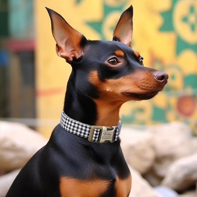 Personalized Dog Collar with Name and Phone Number Engraved,Adjustable Custom Puppy Collar,Organic Cotton Pet Collar for Small Medium Large Boy Girl Dogs