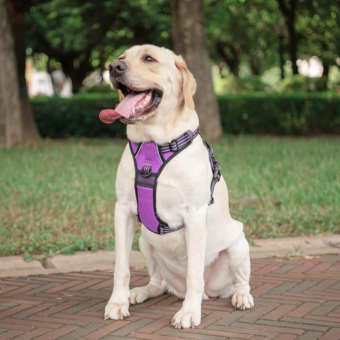 PoyPet No Pull Dog Harness, [Release on Neck] Reflective Adjustable No Choke Pet Vest with Front & Back 2 Leash Attachments, Soft Control Training Handle for Small Medium Large Dogs(Purple,M)