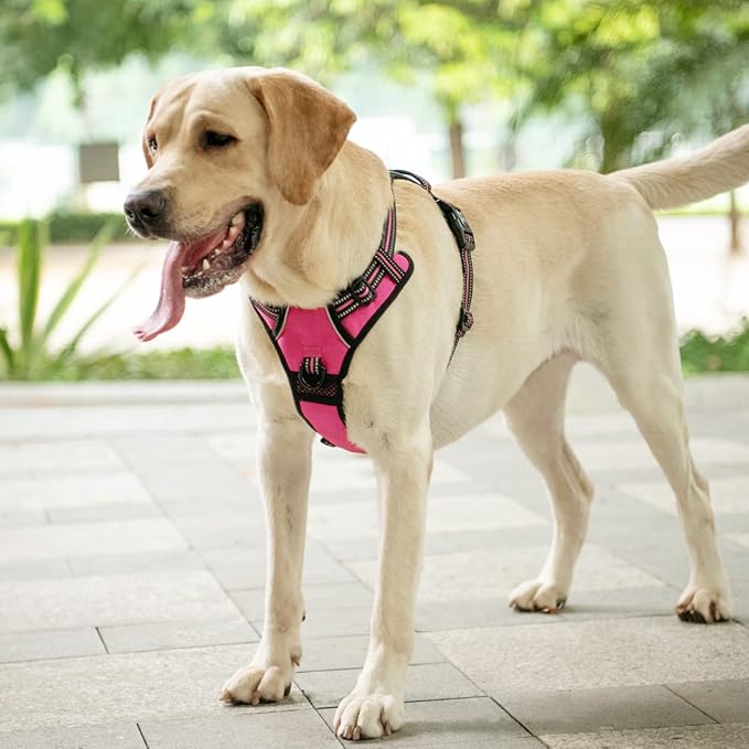 PoyPet No Pull Dog Harness, [Release on Neck] Reflective Adjustable No Choke Pet Vest with Front & Back 2 Leash Attachments, Soft Control Training Handle for Small Medium Large Dogs(Pink,M)