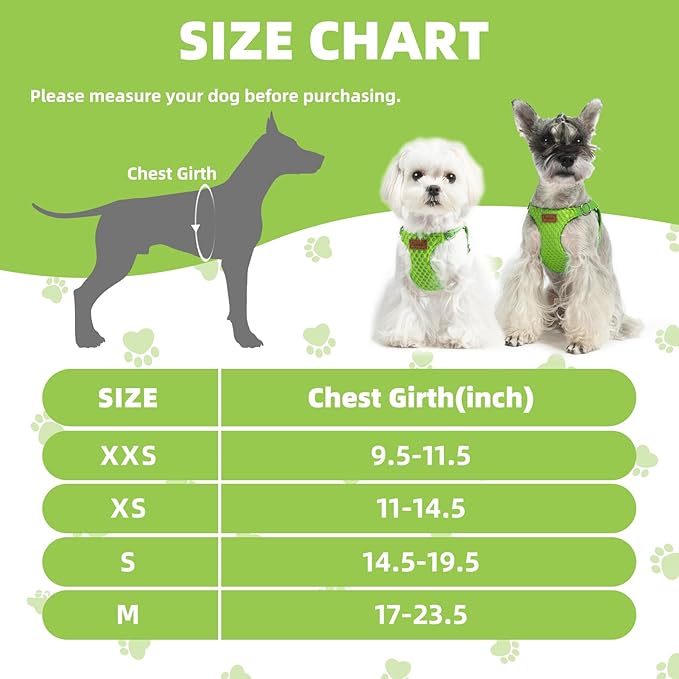PUPTECK Dog Harness and Leash Set Small Sized, Step-in Cute Puppy Harness, Soft Lightweight Padded Vest, Escape Proof No Pull Pet Harnesses Easy for Walking, Green, M