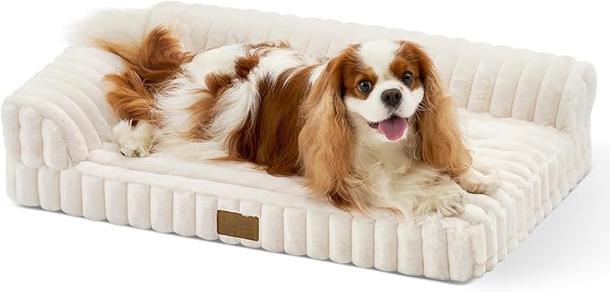 Cute Dog Bed, Faux Rabbit Fur Orthopedic Foam Dog Bed with Sides, Removable Washable Cover & Waterproof Lining, Comfortable Pet Couch for Small Dogs, Cream (30" L x 20" W x 6" Th)