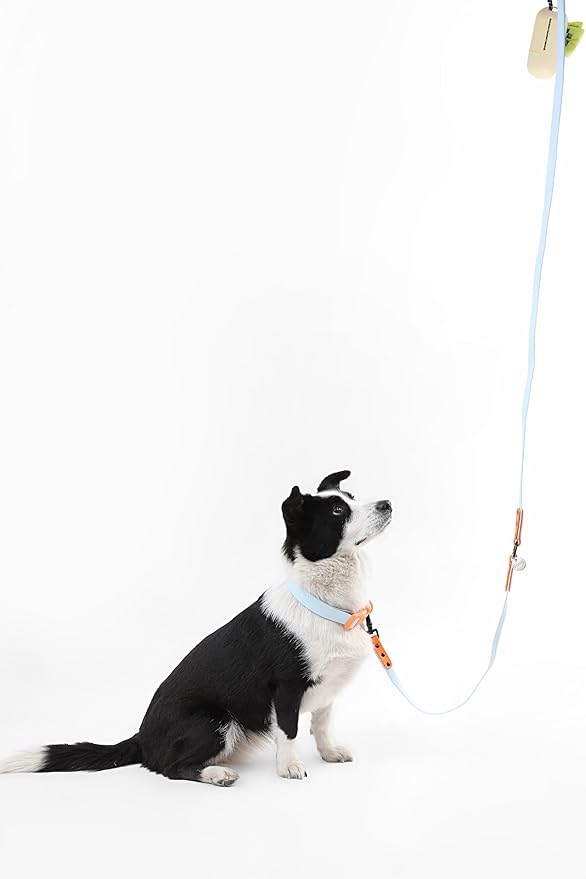 WLK1006D-5SET Luna Large 8FT Adjustable 6-in-1 Waterproof Hands-Free Leash and Collar with LED Flashlight, Bag Dispenser, and Poop Bag Holder, Fishbowl