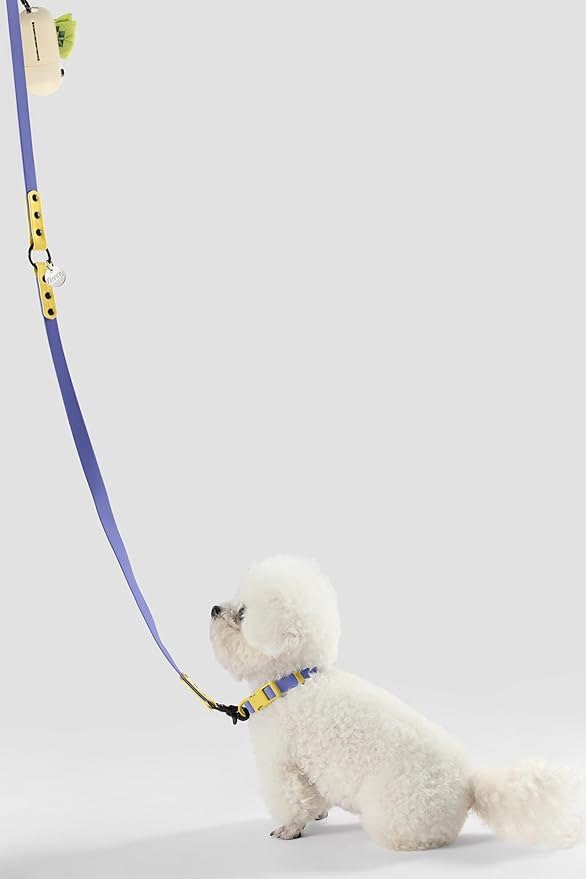 WLK1004C-5SET Luna Small 8FT Adjustable 6-in-1 Waterproof Hands-Free Leash and Collar with LED Flashlight, Bag Dispenser, and Poop Bag Holder, Curaçao