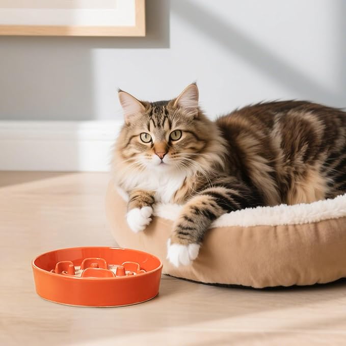 Ceramic Dog Slow Feeder Bowl - Small Dog Food Dish with Maze Puzzle Design - Slow Eating Puzzle Feeder for Pet Feed & Food Control - Whisker-Friendly Bowl for Cat Feeding - 6.3 Inch - 180 g - Orange