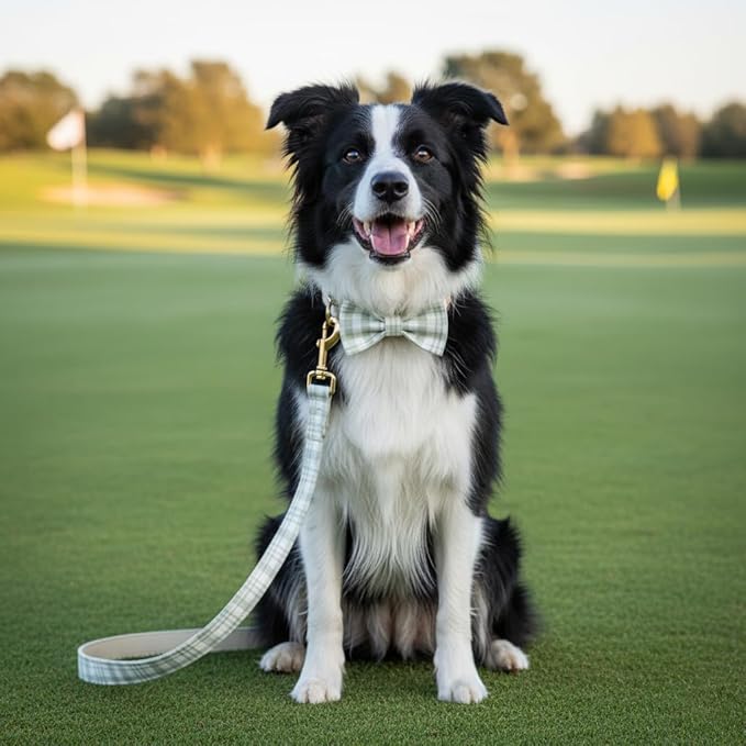 PETDURO Personalized Dog Collar Sage Green Plaid for Large Medium Dogs | Engraved Name and Phone Number on Gold Metal Buckle for Boys & Girls | Add Leash & Bow Tie via Customize Now