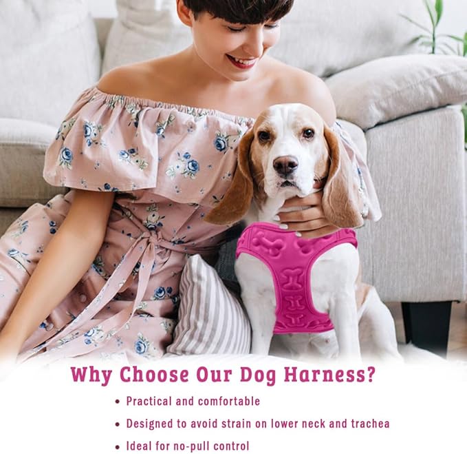 Comfort Fit Dog Harness No Pull No Escape Harness Adjustable Buckles Extra Comfort Soft Padded Choke Step In Dog Vest with Easy Control Handle for Small Medium Large Dogs & Puppies Inside Velvet Plush