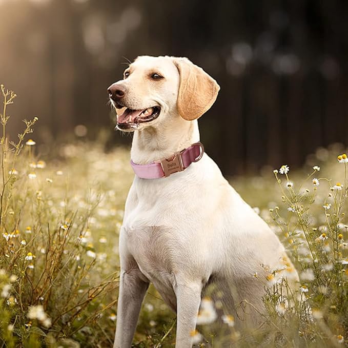 Dog Collar Custom Personalized Engraved Name and Phone Number for Puppy Small Medium Large Pets (S, Pink)