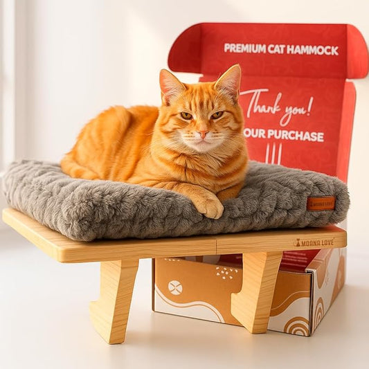 Cat Window Bed - Cozy Window Perch for Cats Inside - Stylish Cat Furniture with Soft Cushion, Perfect Kitten Bed & Cama para Gatos for Sunbathing, Hamaca para Gatos