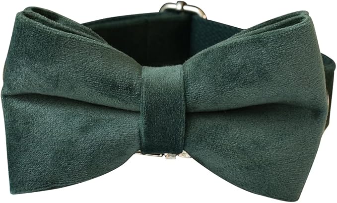 Dog Collar Custom Personalized Engraved Name and Phone Number for Puppy Small Medium Large Pets (M, Green)