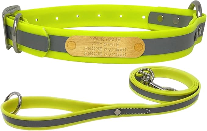 Regal Dog Products Small Yellow with Custom Engraved Reflective Dog Collar and Leash Set | Waterproof Dog Collar with D Ring | Center Ring & 5'ft Leash | Matching Dog Collar and Leash for Dogs