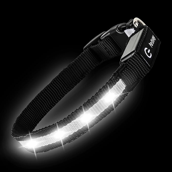 LED Dog Collar for Small Dogs Cats - Fully Waterproof & Adjustable Glow Collar - USB-C Rechargeable for Night Walking, Safety - Flashing Lighted Collar for Dogs(White,S)