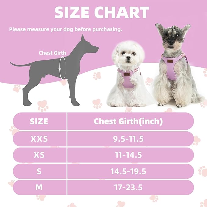 PUPTECK Dog Harness and Leash Set Small Sized, Step-in Cute Puppy Harness, Soft Lightweight Padded Vest, Escape Proof No Pull Pet Harnesses Easy for Walking, Purple, M