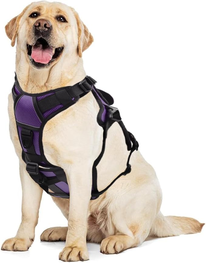 AUROTH Escape Proof No Pull Dog Harness - Soft Padded Reflective Adjustable Vest with Lift Handle - Medium Size