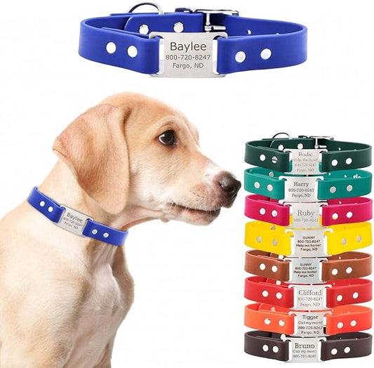 Dogids Personalized Dog Collar with Name Plate – Waterproof Biothane, Adjustable, Odor Resistant, Laser Engraved ScruffTag, Made in USA - Blue, 1 in x 18 in (Fits Neck Sizes 16-20 in)