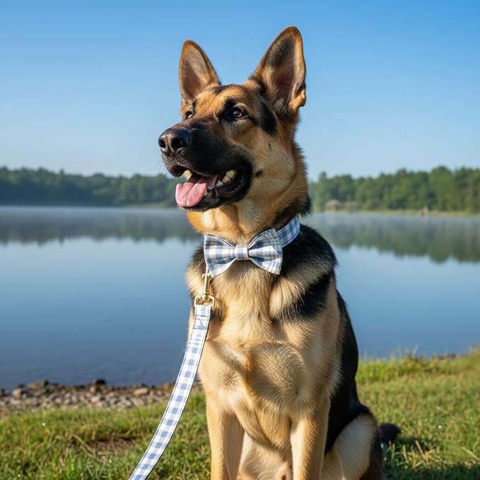 PETDURO Personalized Dog Collar Navy Blue Plaid for Large Medium Dogs | Engraved Name and Phone Number on Gold Metal Buckle for Boys | Add Leash & Bow Tie via Customize Now