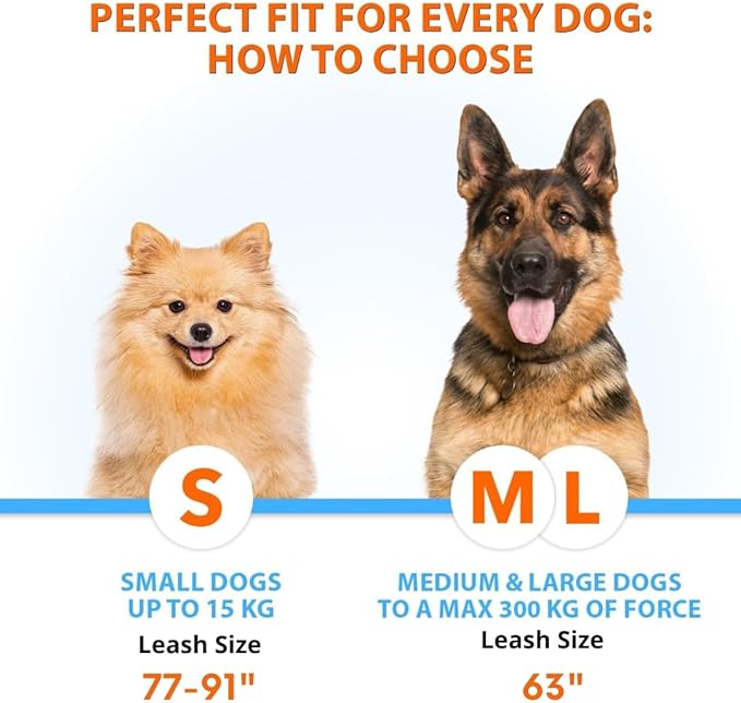 SparklyPets - Hands Free Double Dog Leash - Dual Dog Leash for 2 Small Dogs - with Padded Handles, Reflective Stitches - No Pull, Tangle Free, for Walking, Hiking, Canicross - for Small Dogs