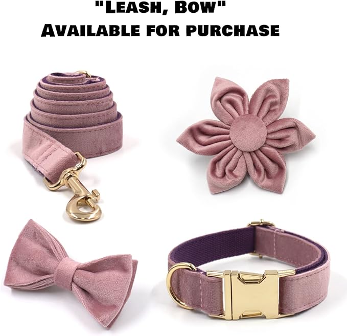 Velvet Personalized Dog Collar with Name - Customizable Dog Collar with Quick Release Metal Buckle - Leash and Bow Tie Available (Pastel Purple, L)