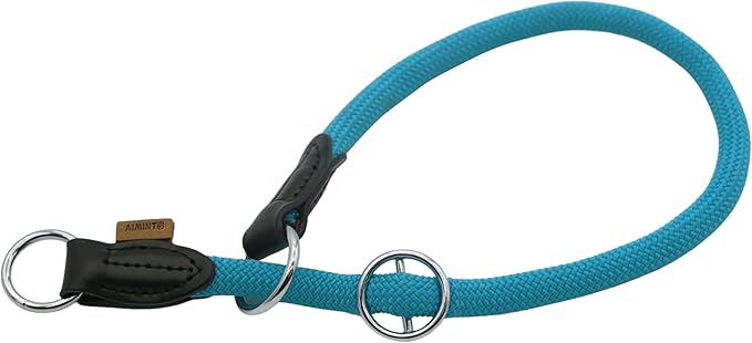 Braided Round Martingale Dog Collar, Training Collar with Slidable Stop Ring - Ideal for Large Dogs (XL(1/2") - 26" Long, Light Blue)