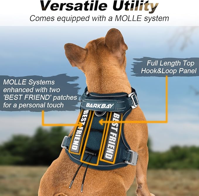 BARKBAY Service Dog Vest Tactical Dog Harness Medium Large Sized Dog Tags Personalized No Pull Adjustable Harness Reflective Working Training Easy Control Military Molle System(Legion Blue,S)