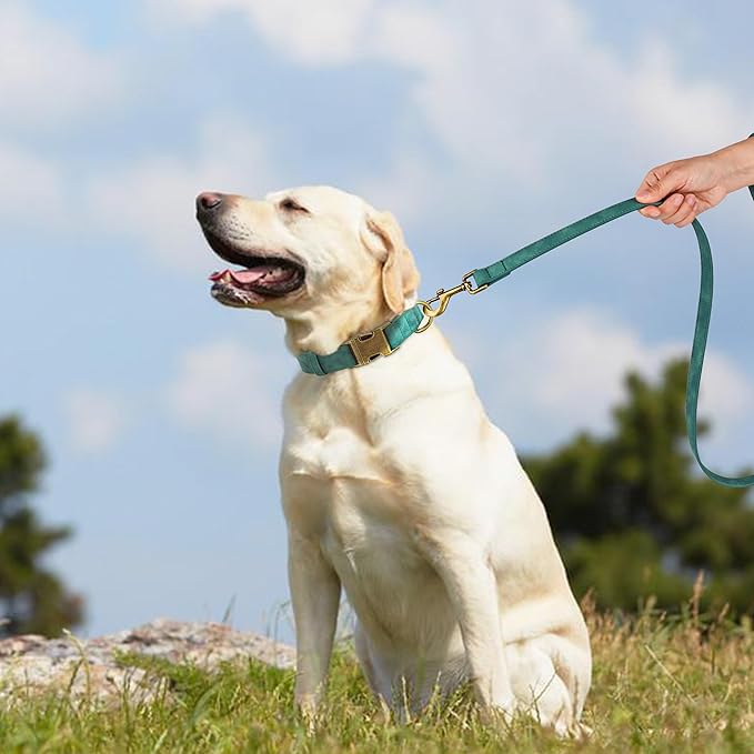 Didog Soft PU Leather Dog Collar, Stylish Quick Released Dog Collar for Large Dogs, Easy Clean Adjustable Pet Collar for Daily Walking, Green, L Fit 15-23" Neck