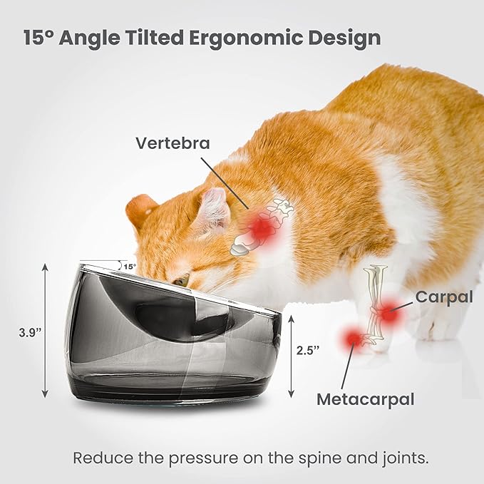 Felli Pet Oblik Whisker Fatigue Cat Food Bowl Raised Stainless Steel Shallow Dish, Pet Friendly Design Anti Vomit Tilted Metal Plate Feeder Elevated Acrylic Base for Treats Storage (0.5 Cups, Smoky)